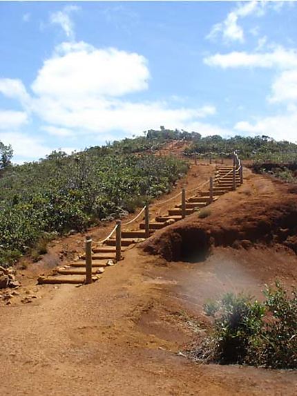 Le chemin du voyage