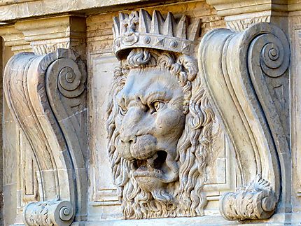 Palais Pitti - Lion sur la façade