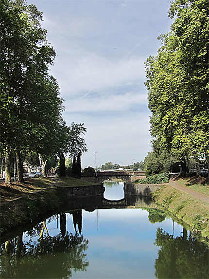 Le Canal du midi à l'embouchure