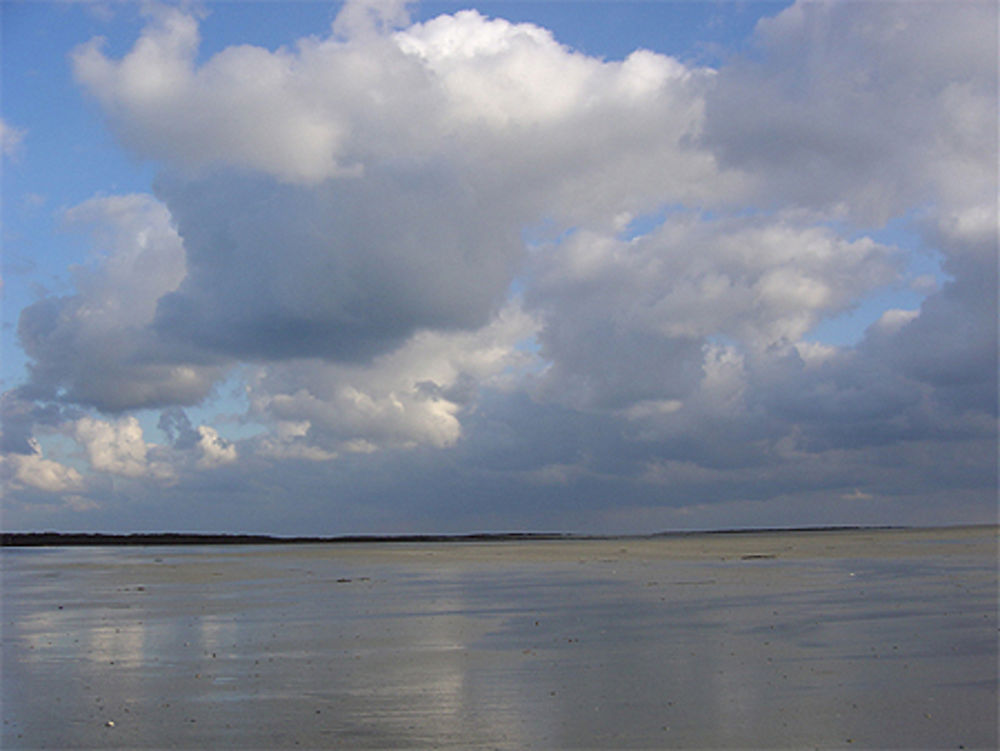 La plage de Nacqueville 