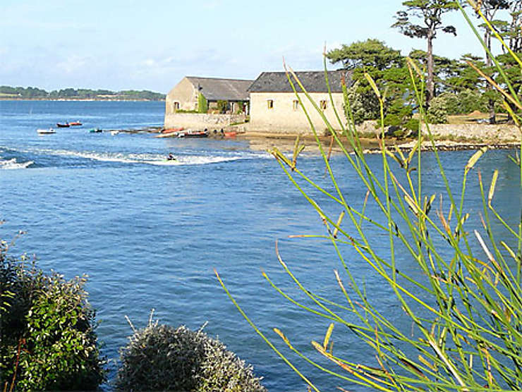Île de Berder - Danièle Wauquier