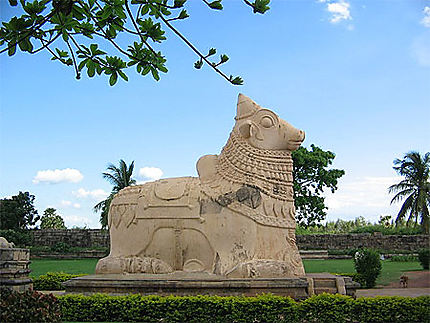 Nandhi (taureau)