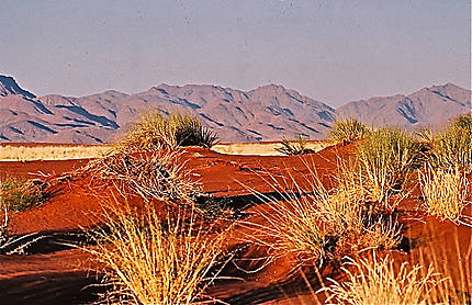 Les dunes de Wolwedans