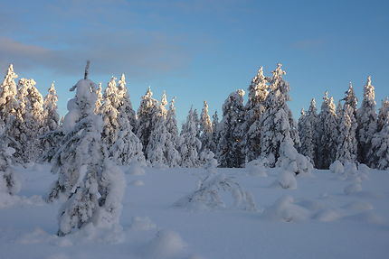 Promenade en Laponie finlandaise
