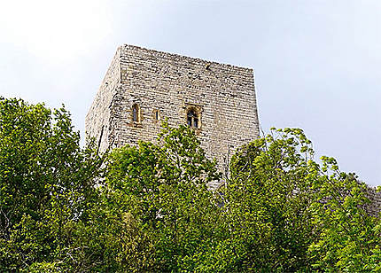 Château de Puivert