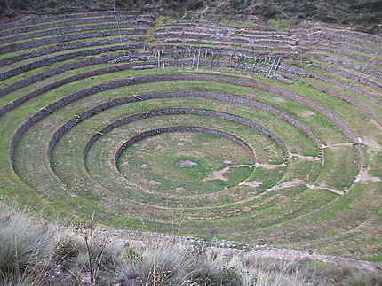 Terrasses de Moray  