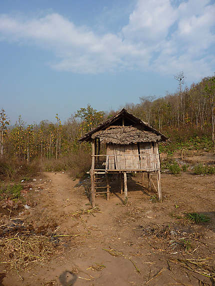 Au milieu des montagnes