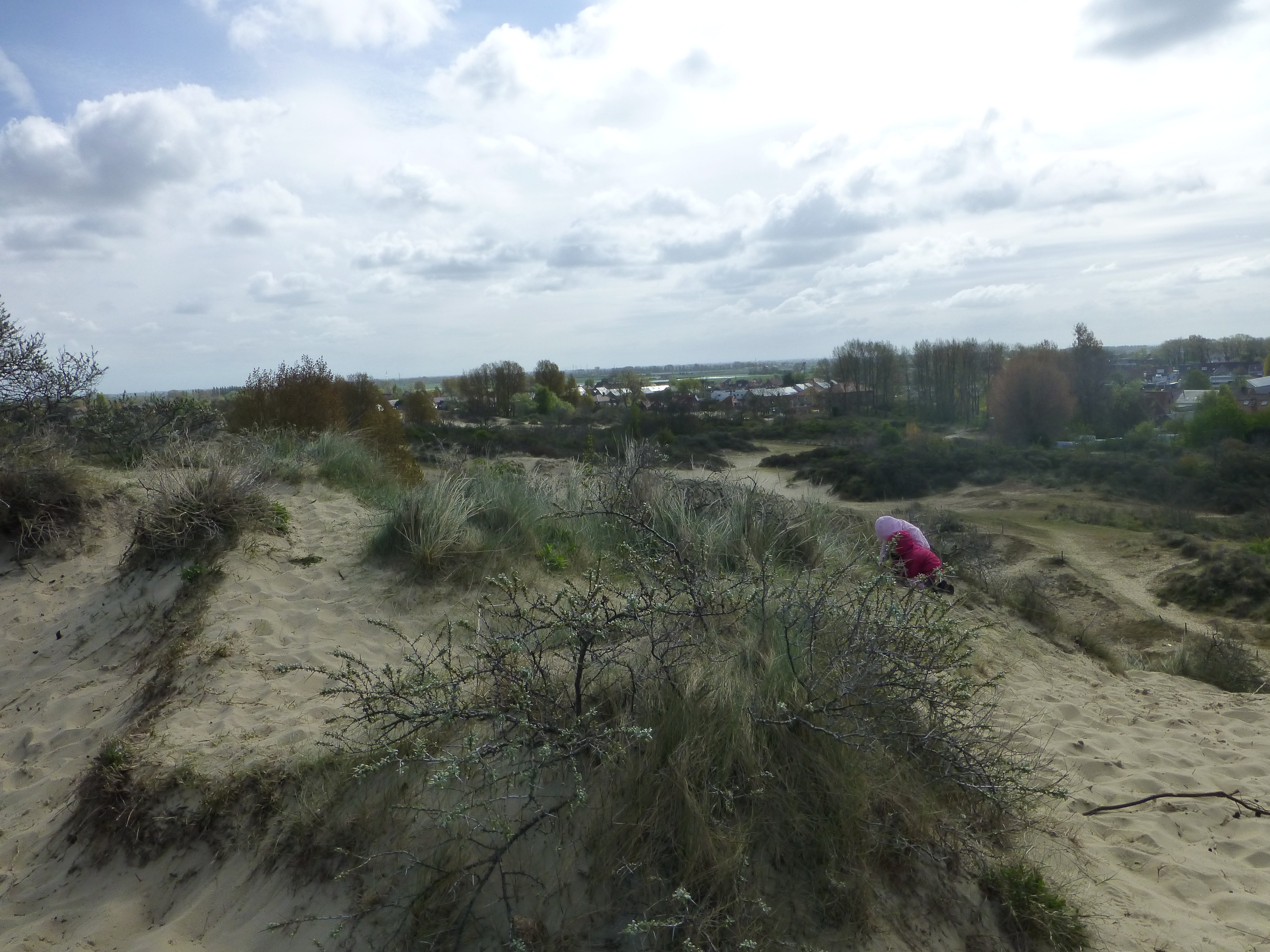 Dans les dunes à Coxyde-Oostduinkerke Dans les dunes à Coxyde-Oostduinkerke