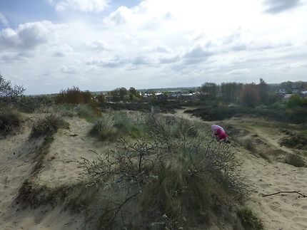 Dans les dunes à Coxyde-Oostduinkerke