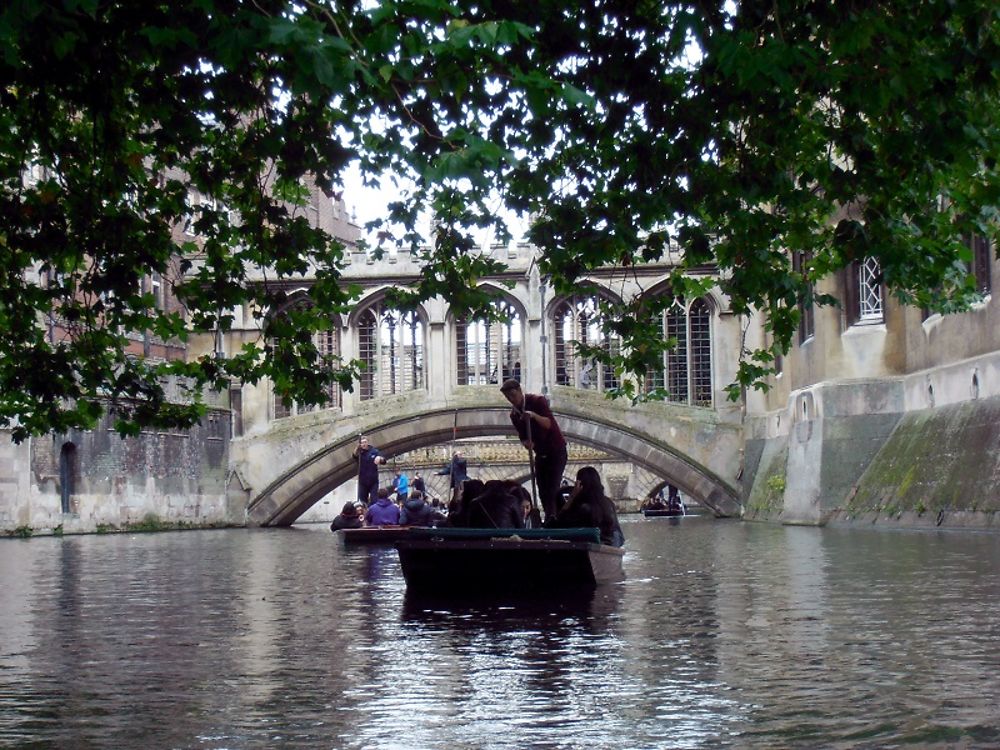 The bridge of sighs