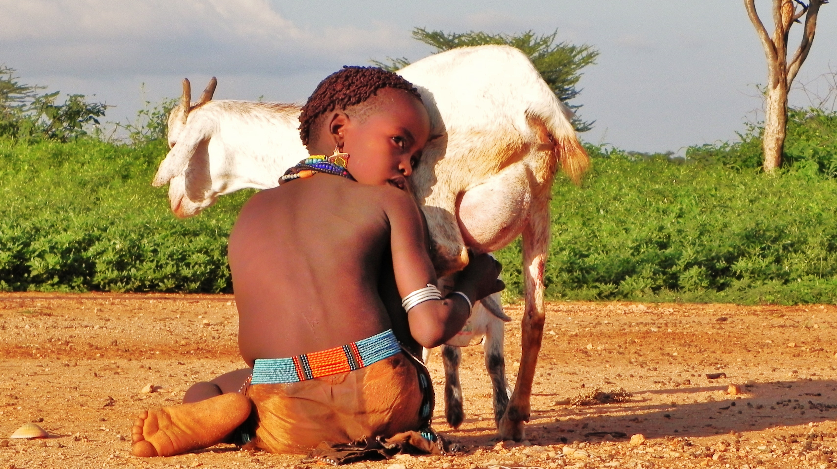 L'enfant tribu hamar L'enfant tribu hamar