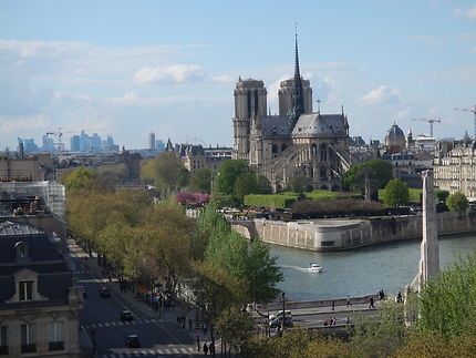 Notre-Dame de Paris, vue de l'IMA