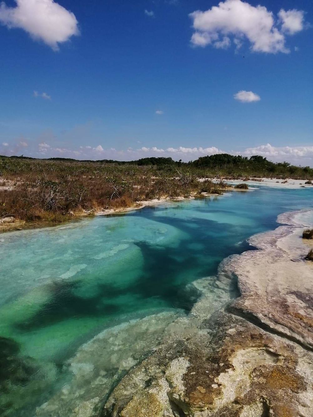 Los rapidos, Bacalar