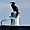 Un magnifique Cormoran en bord de Seine