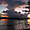 Amazona Sunset