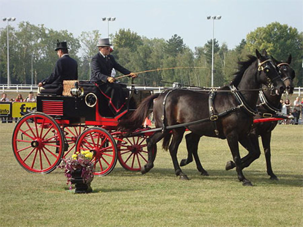 Les plaisirs du carrosse