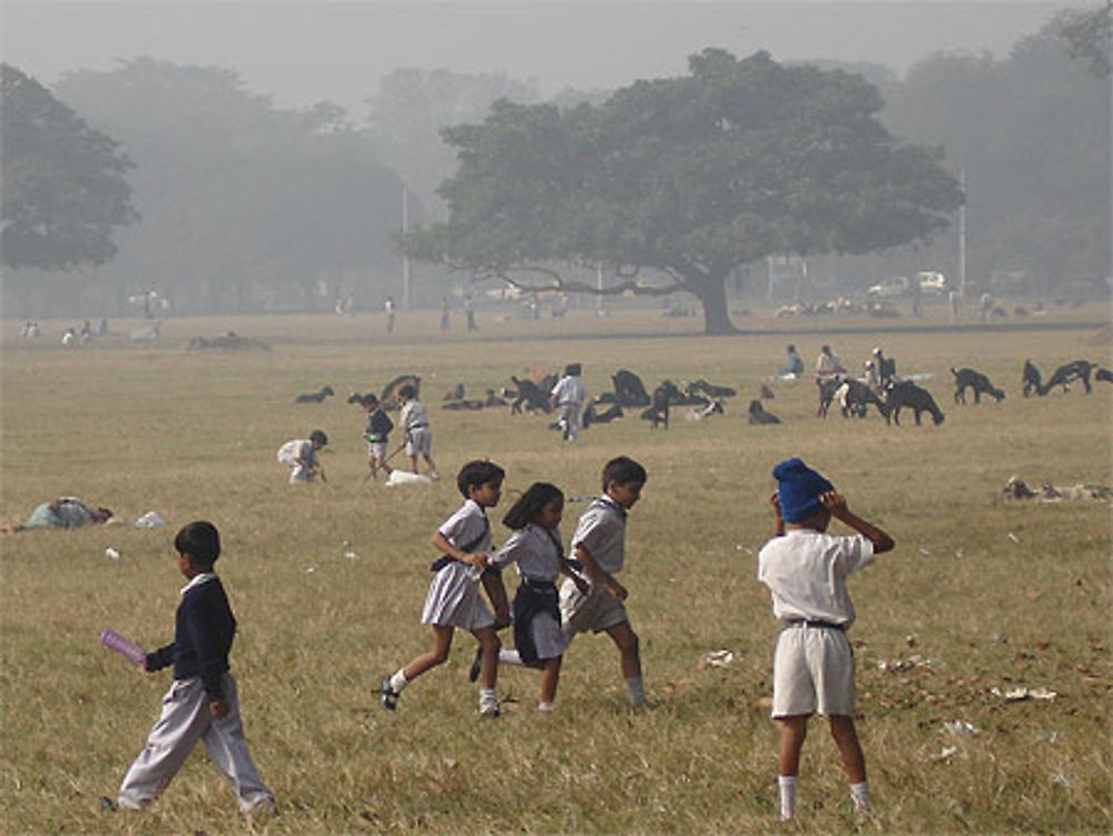 Kolkata - Maidan Park