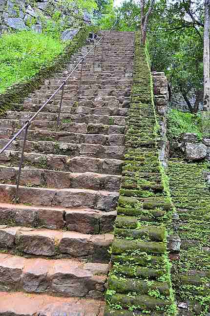 Escalier à Sigiriya