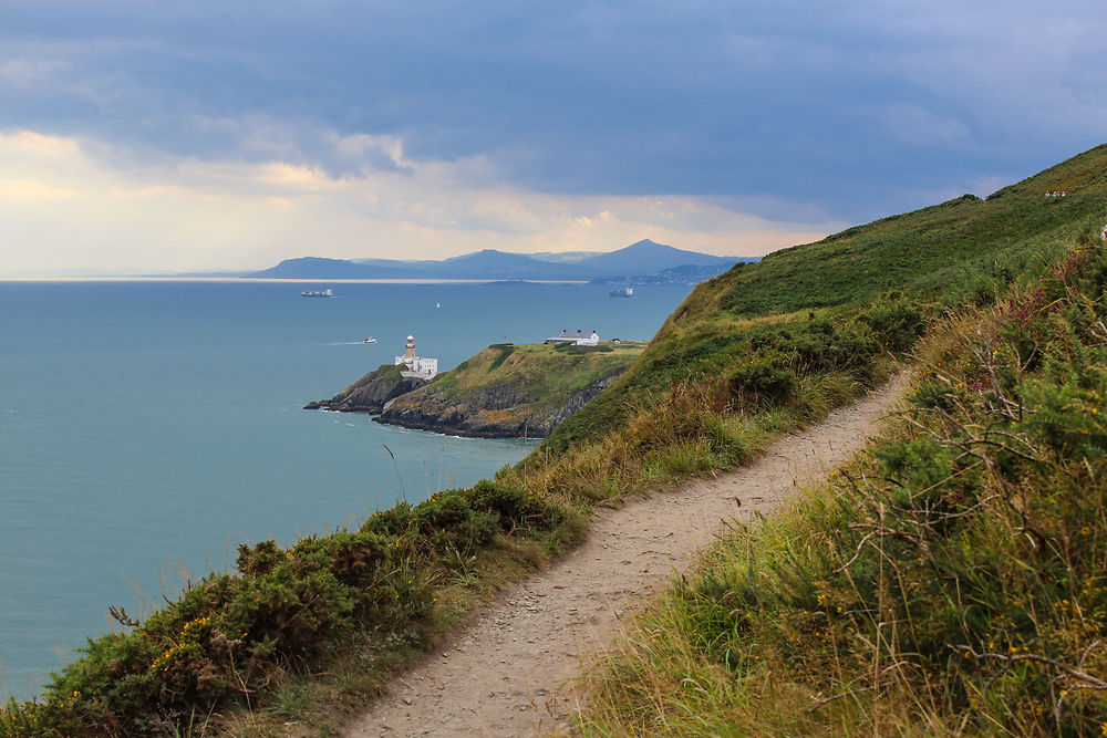 Le long des falaises d'Howth, Irlande