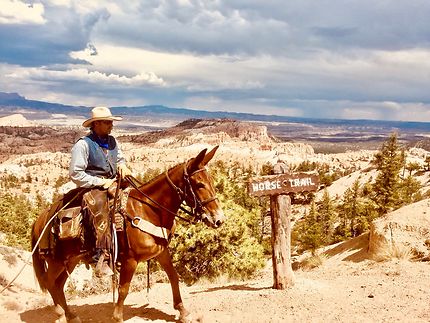 Un cowboy à Bryce Canyon