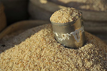 Le riz... joue un rôle fondamental dans la vie des malgaches