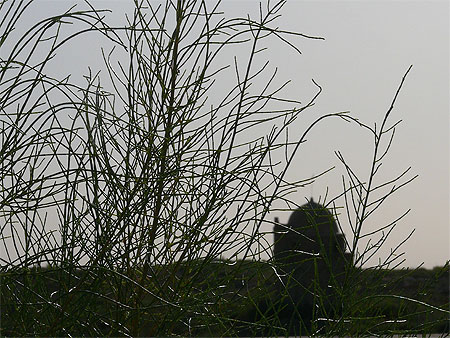 Mausolée du sultan Sandjar à Merv Mausolée du sultan Sandjar à Merv