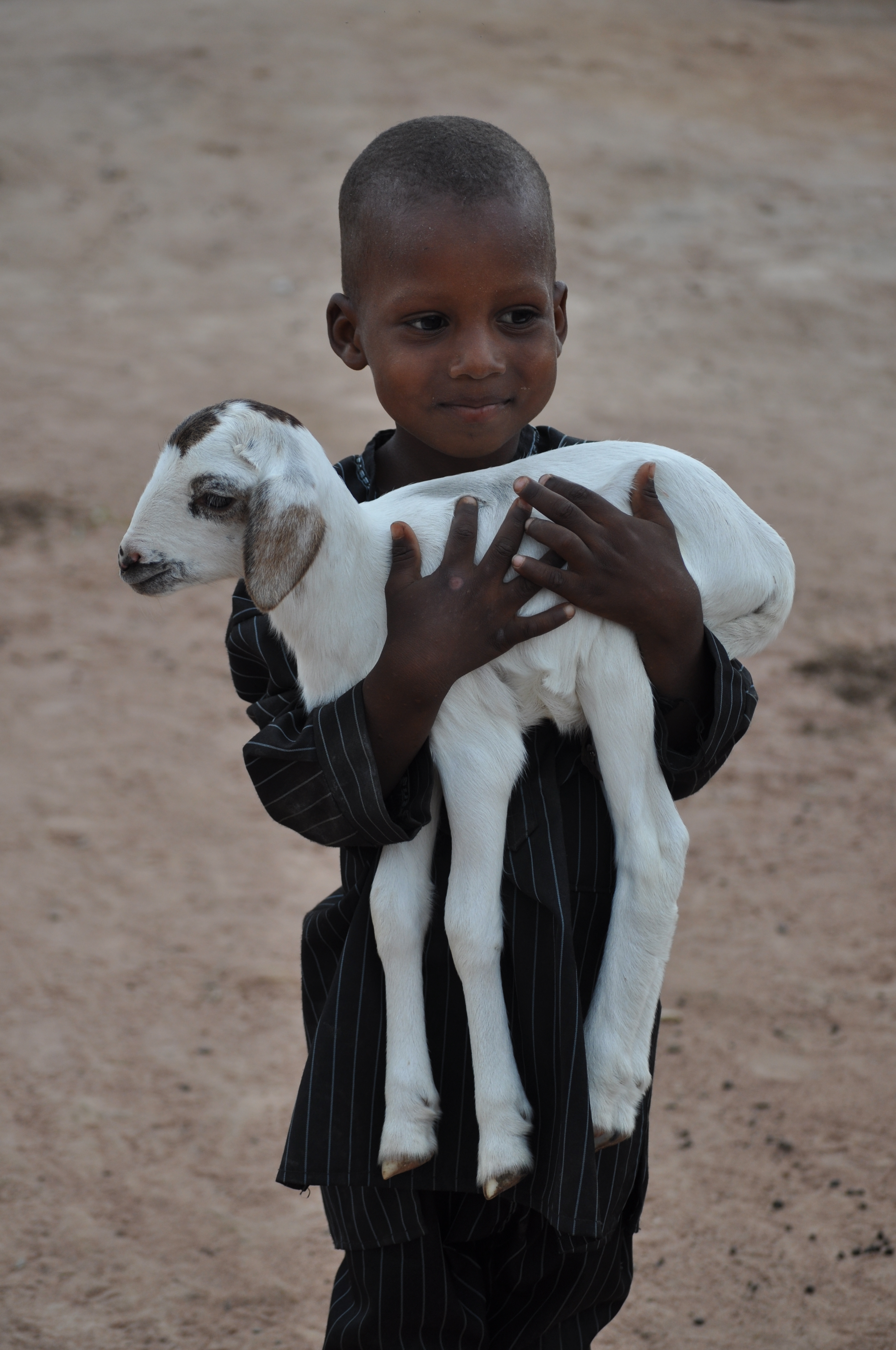 Précieuse chèvre pour ce jeune Peulh Précieuse chèvre pour ce jeune Peulh