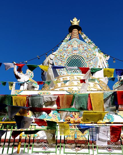 Le Stupa de McLeod Ganj
