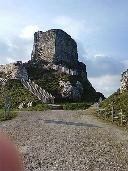 Donjon du château de Roc'h Morvan