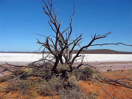 Lake Gairdner National Park Lake Gairdner National Park