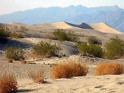 Death Valley, un nom pas volé !