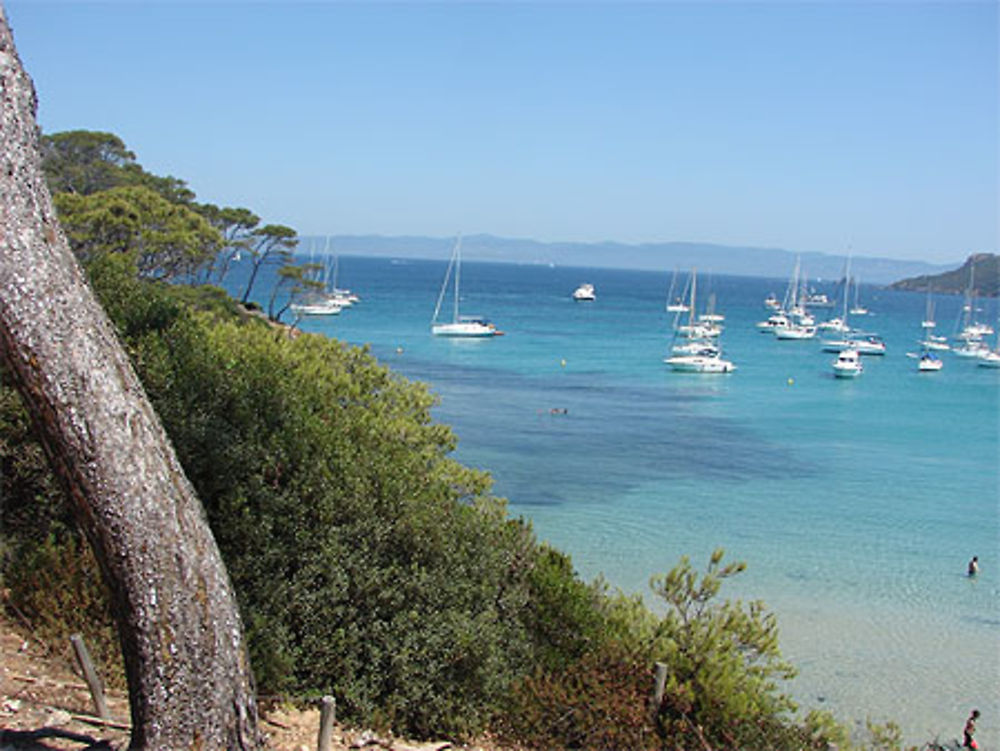 Porquerolles