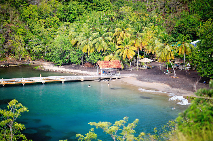 Anse Dufour et Anse Noire, Martinique