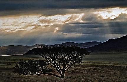 Coucher de soleil sur le Namib