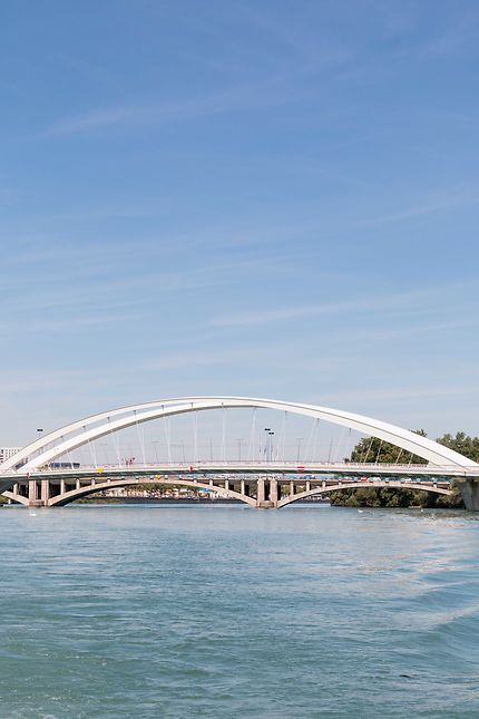 Le Pont Raymond Barre sur le Rhône à Lyon