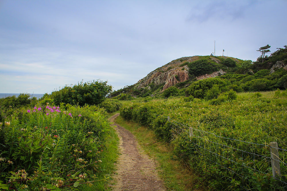 Péninsule de Kullaberg, Suède