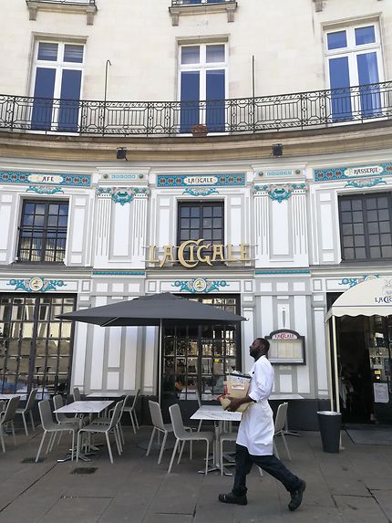 Brasserie La Cigale à Nantes, une institution 