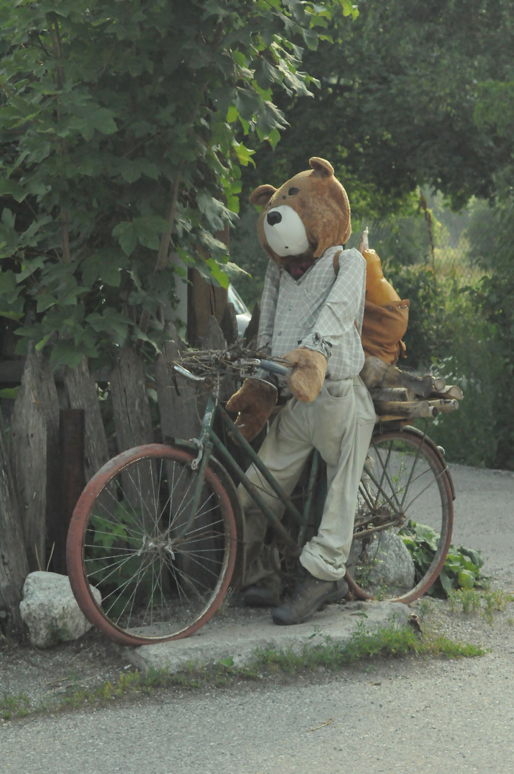 Nounours cycliste !