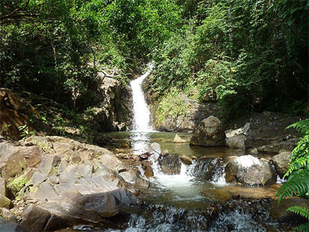 Krabi, le parc national de Khao Phanon Bencha