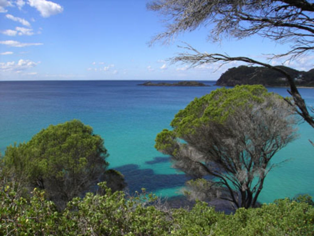 Eau émeraude de Seal Rocks