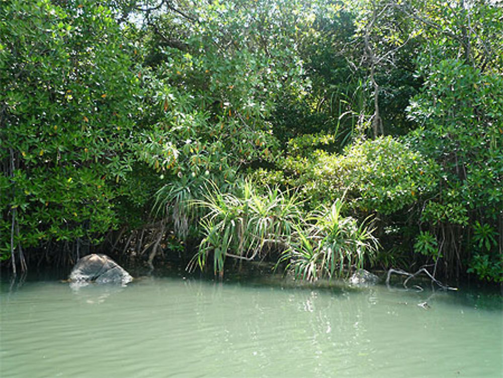 Lac de Koggala