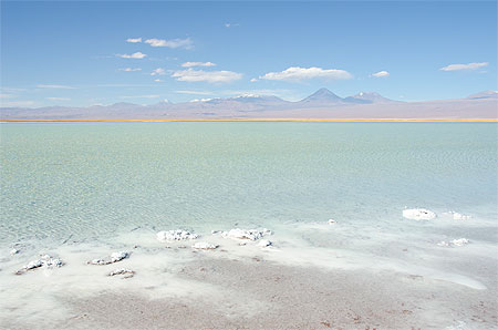 Laguna Tebenquiche Laguna Tebenquiche