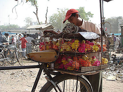 Sunday market