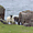 Le mouton Ecossais en Kilt