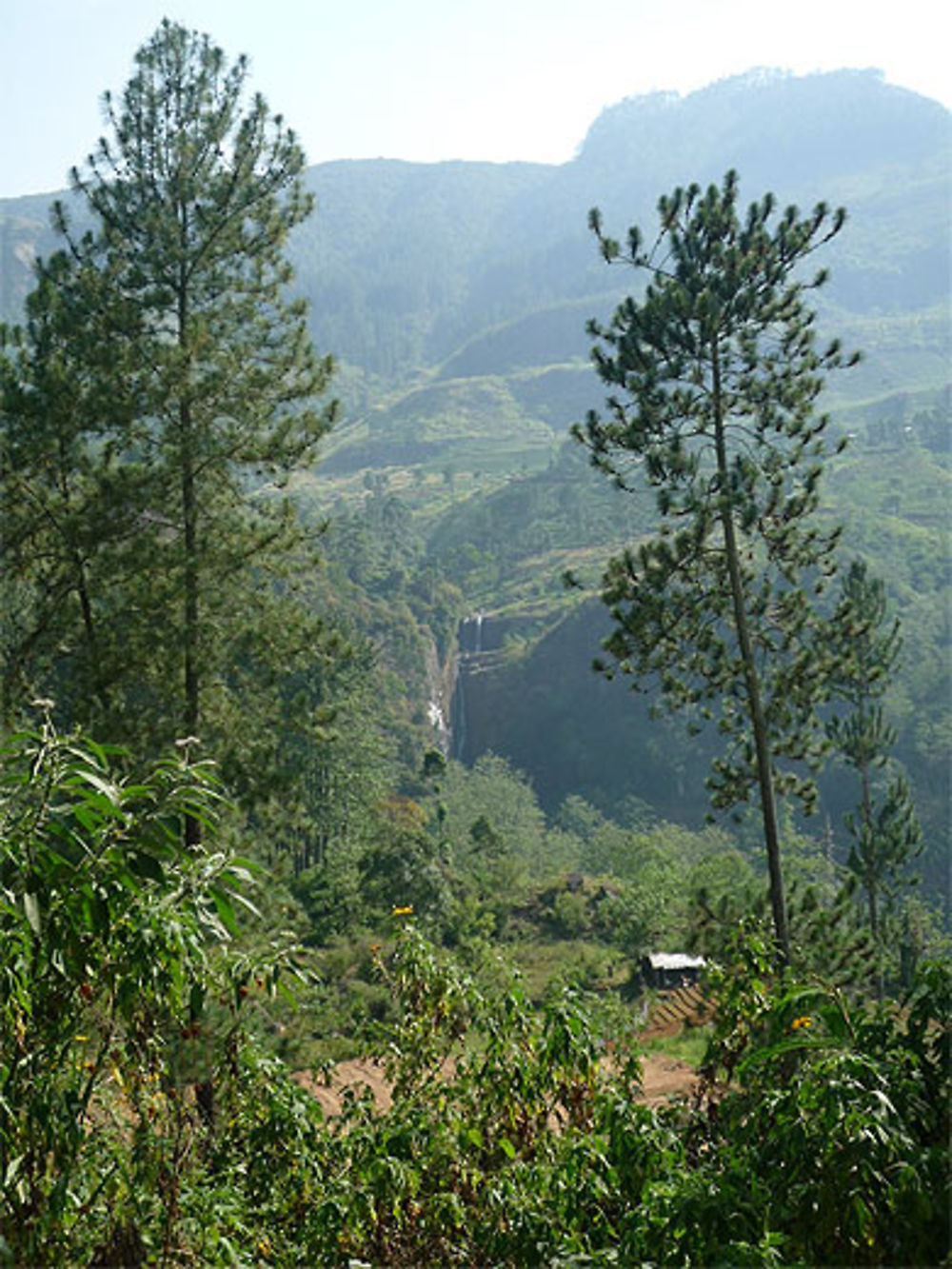 Chutes de Ramboda