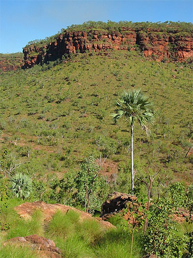 Gregory National Park Gregory National Park