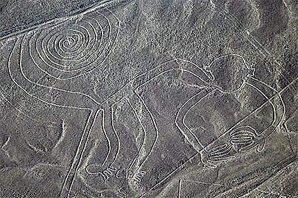 Lignes mystérieuses de Nazca