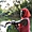 Femme au bord de l'eau à Fouta Djallon, Guinée