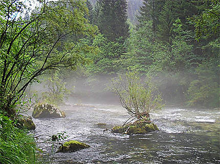 Rapides au début des gorges