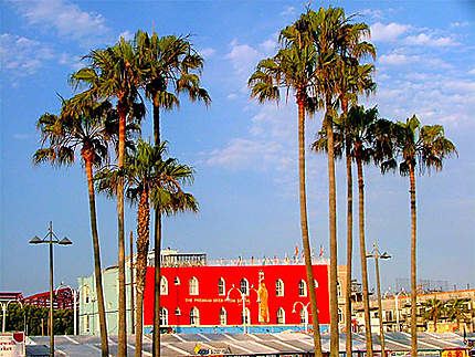 Venice Beach, LA